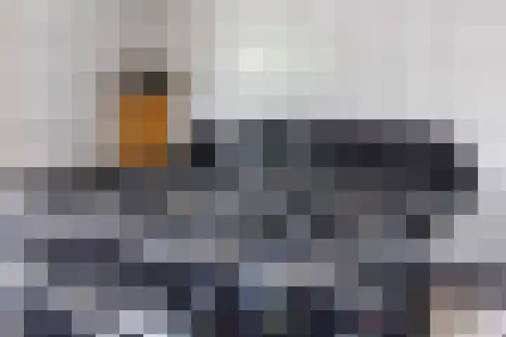 Vogelenzang 37 Lieshout thumbnail 23