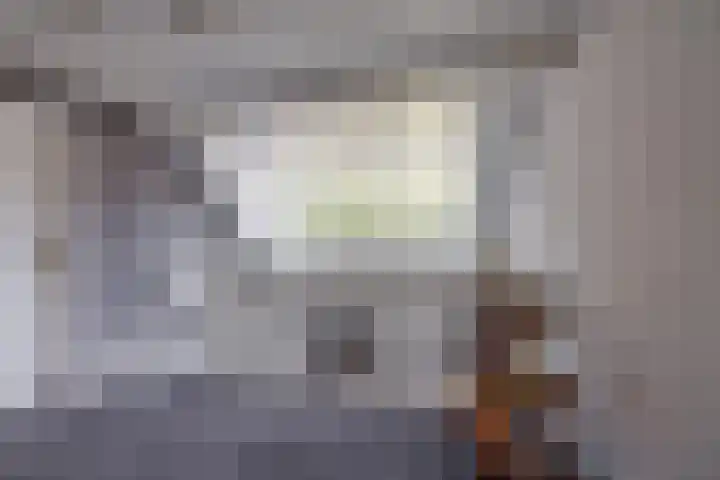 Vogelenzang 37 Lieshout thumbnail 31