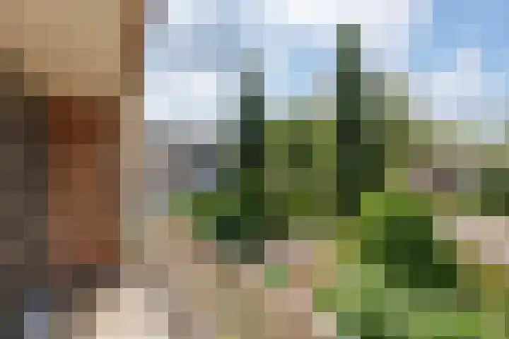 Vogelenzang 37 Lieshout thumbnail 35