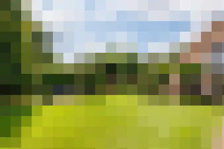 Vogelenzang 37 Lieshout thumbnail 4