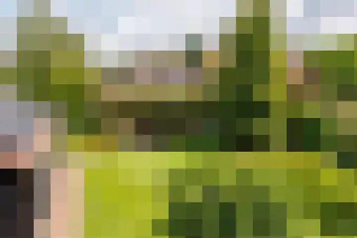 Vogelenzang 37 Lieshout thumbnail 44
