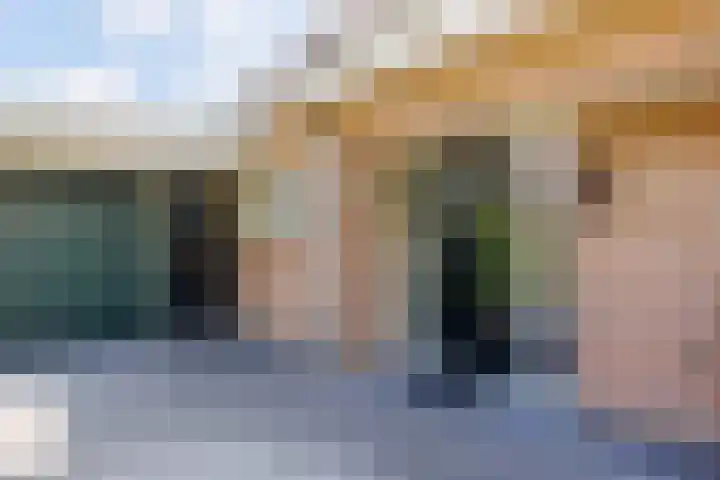 Vogelenzang 37 Lieshout thumbnail 5