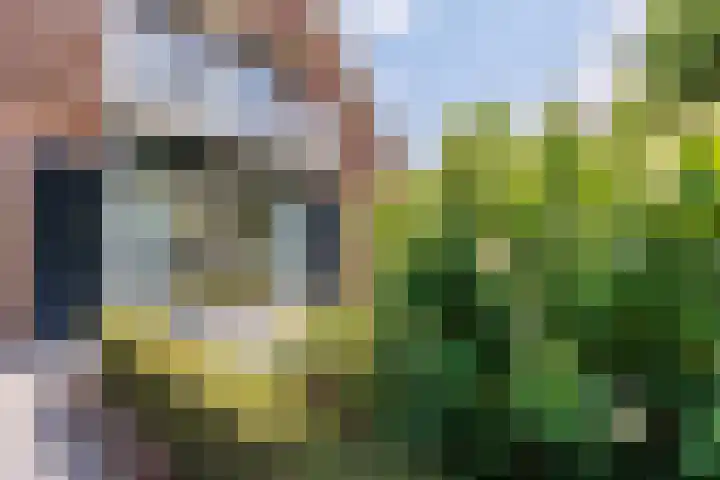Vogelenzang 37 Lieshout thumbnail 53