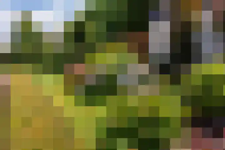 Vogelenzang 37 Lieshout thumbnail 55