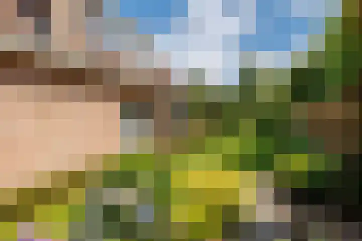 Vogelenzang 37 Lieshout thumbnail 56