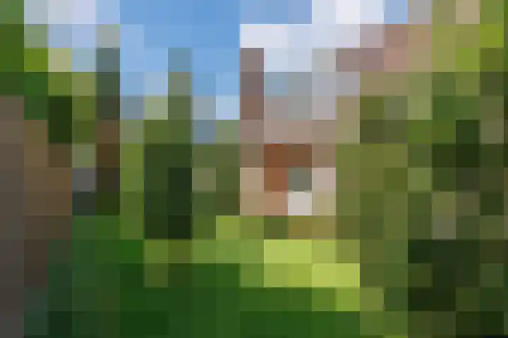 Vogelenzang 37 Lieshout thumbnail 59