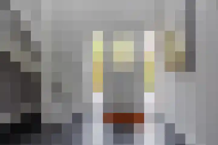 Vogelenzang 37 Lieshout thumbnail 6