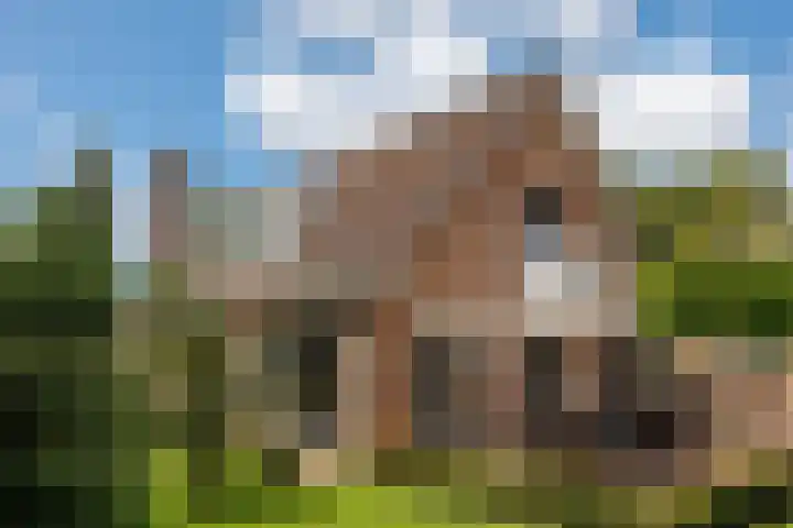 Vogelenzang 37 Lieshout thumbnail 61