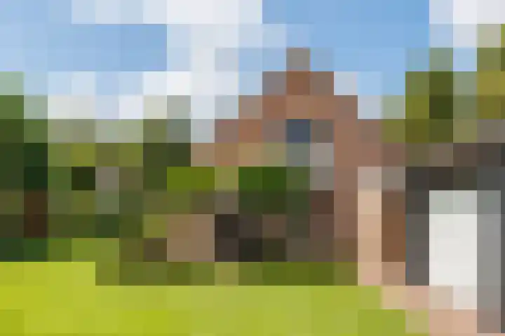 Vogelenzang 37 Lieshout thumbnail 62