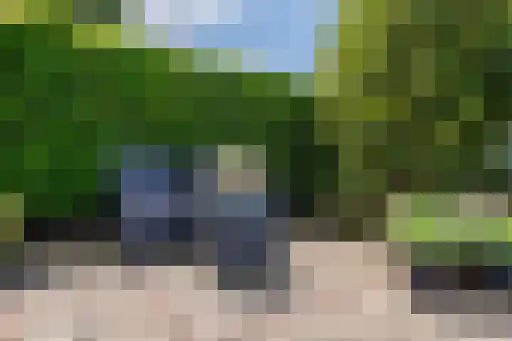 Vogelenzang 37 Lieshout thumbnail 63