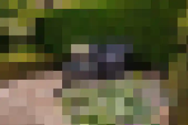 Vogelenzang 37 Lieshout thumbnail 64