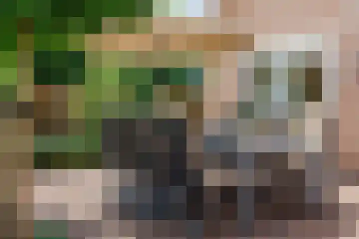 Vogelenzang 37 Lieshout thumbnail 66