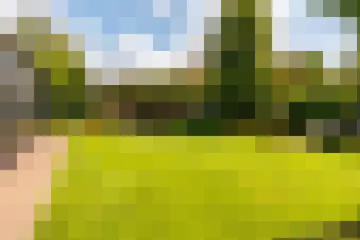 Vogelenzang 37 Lieshout thumbnail 67