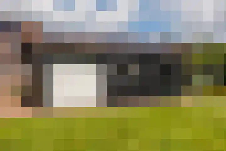 Vogelenzang 37 Lieshout thumbnail 68