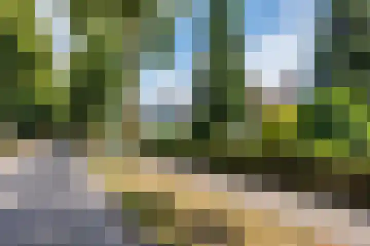 Vogelenzang 37 Lieshout thumbnail 74