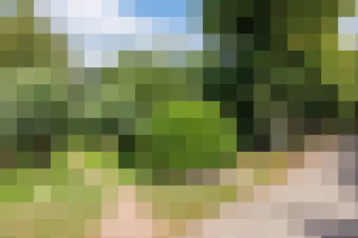 Vogelenzang 37 Lieshout thumbnail 75