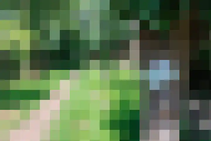 Vogelenzang 37 Lieshout thumbnail 76