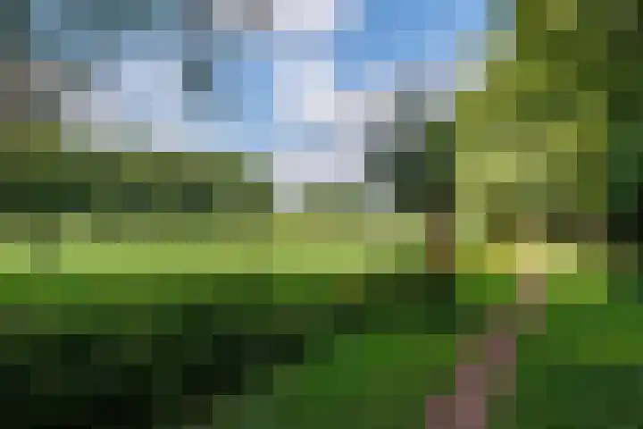 Vogelenzang 37 Lieshout thumbnail 77