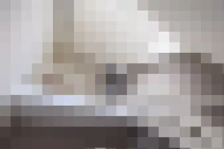 Vogelenzang 37 Lieshout thumbnail 8