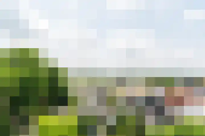 Vogelenzang 4 14 Rhenen thumbnail 25