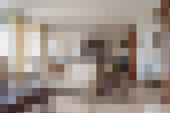Vogelenzang 4 14 Rhenen thumbnail 37