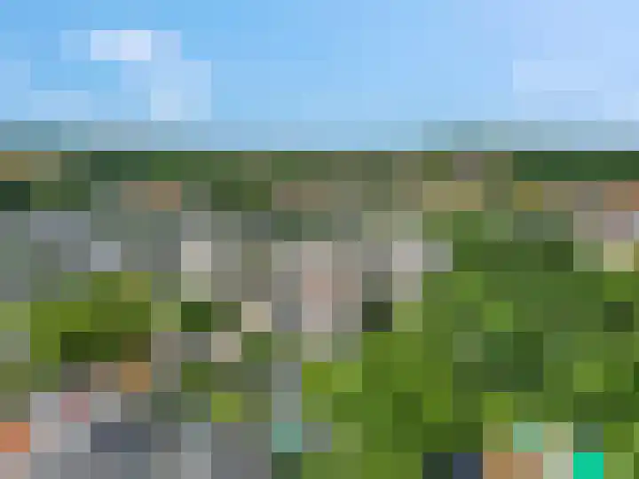 Vogelenzang 4 14 Rhenen thumbnail 4