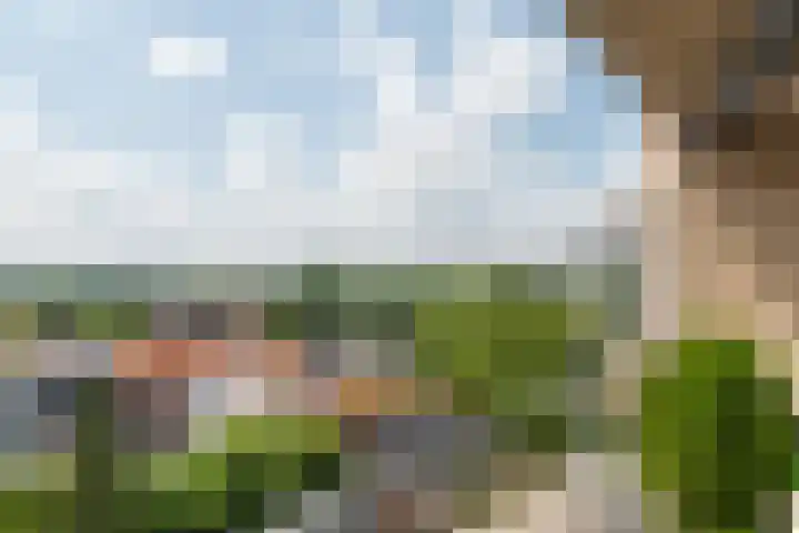 Vogelenzang 4 14 Rhenen thumbnail 48