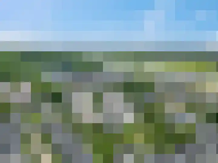 Vogelenzang 4 14 Rhenen thumbnail 51