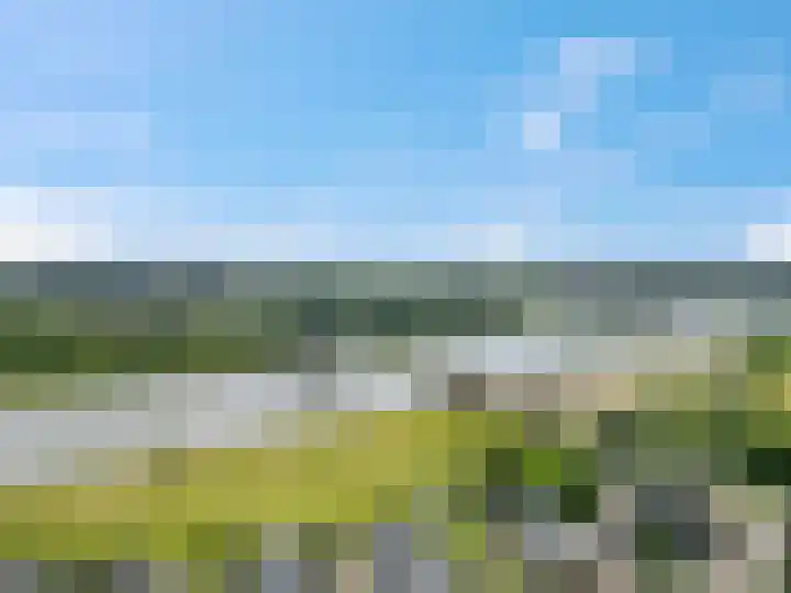 Vogelenzang 4 14 Rhenen thumbnail 6