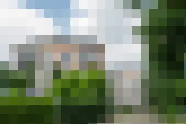 Vogelenzang 4 14 Rhenen thumbnail 7