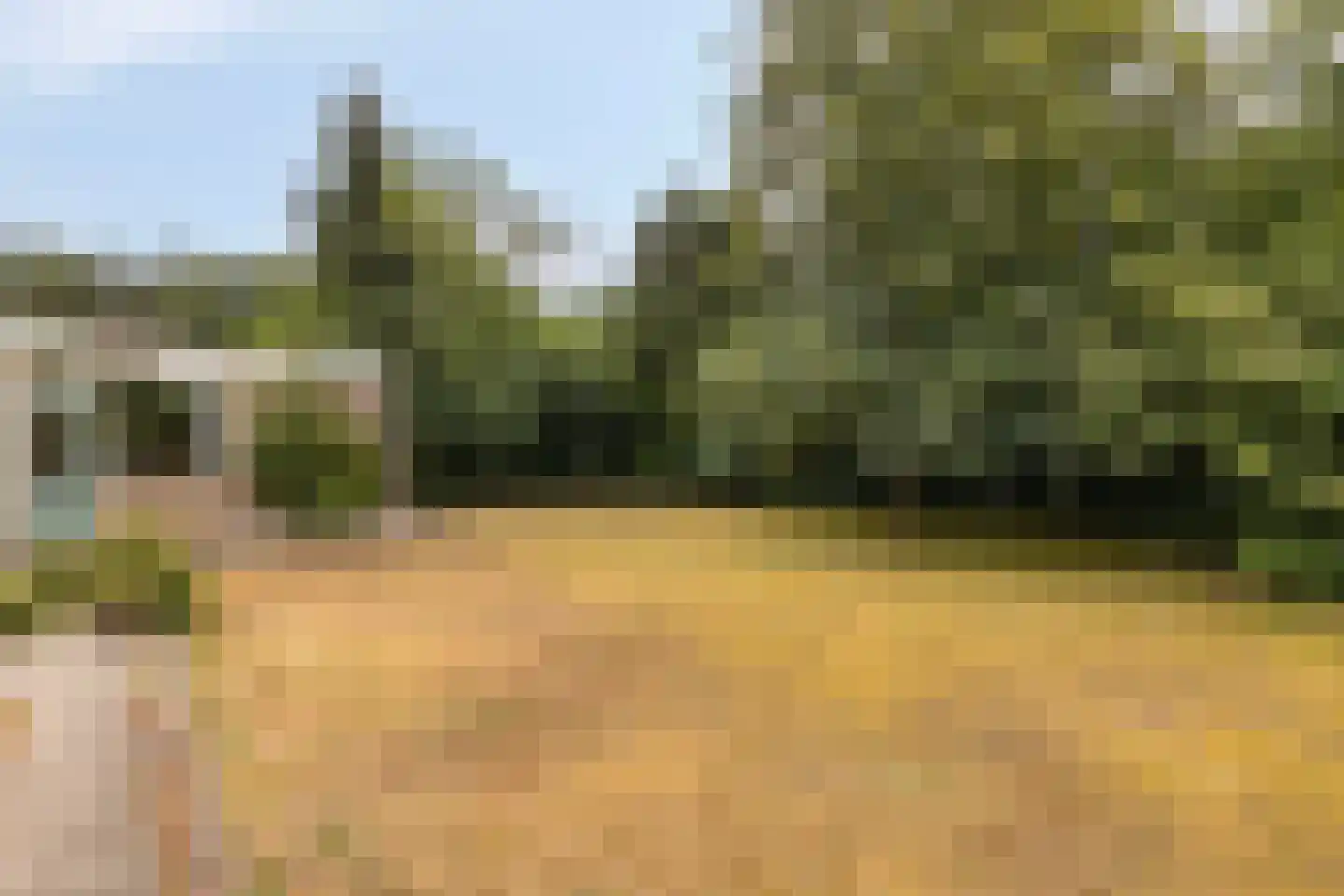 Vogelenzang 4 Malden thumbnail 12