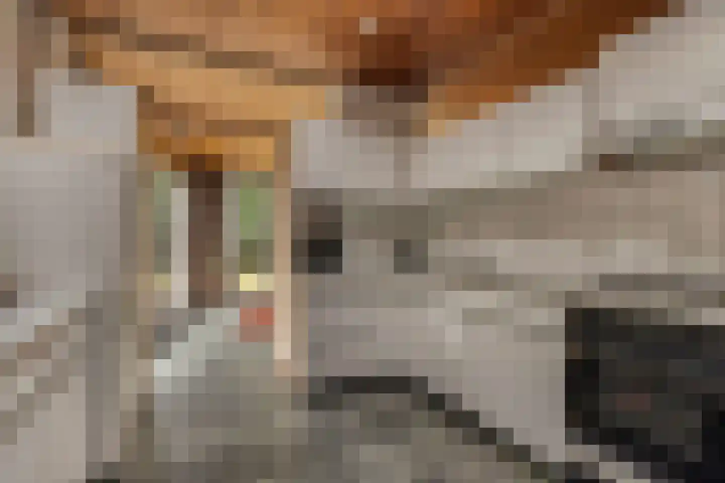 Vogelenzang 4 Malden thumbnail 14