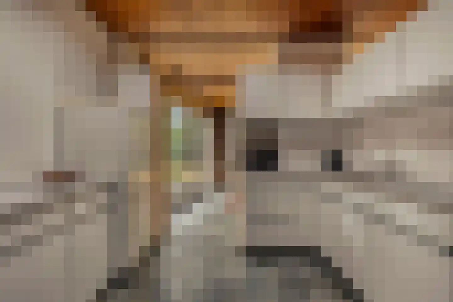 Vogelenzang 4 Malden thumbnail 15