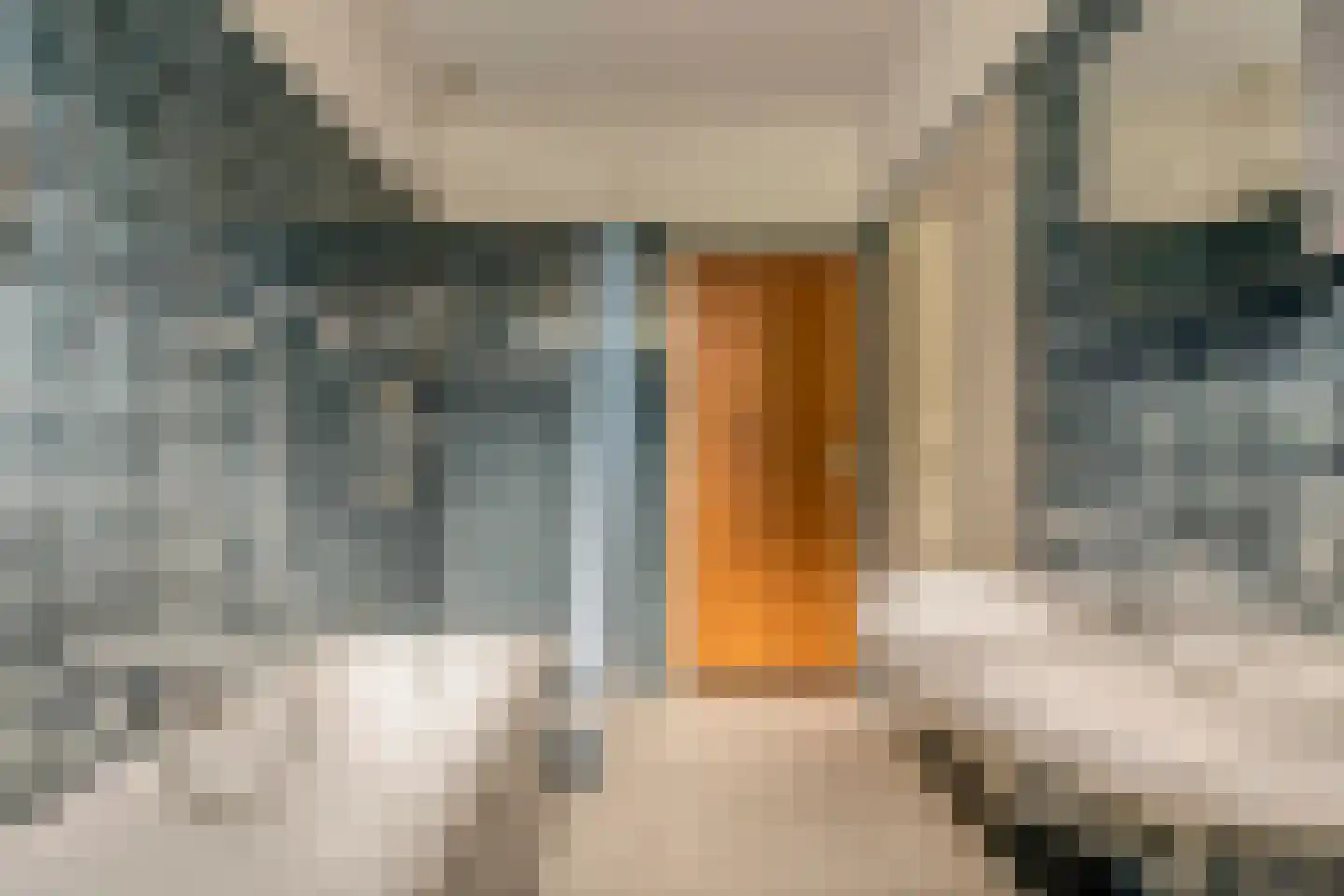Vogelenzang 4 Malden thumbnail 24