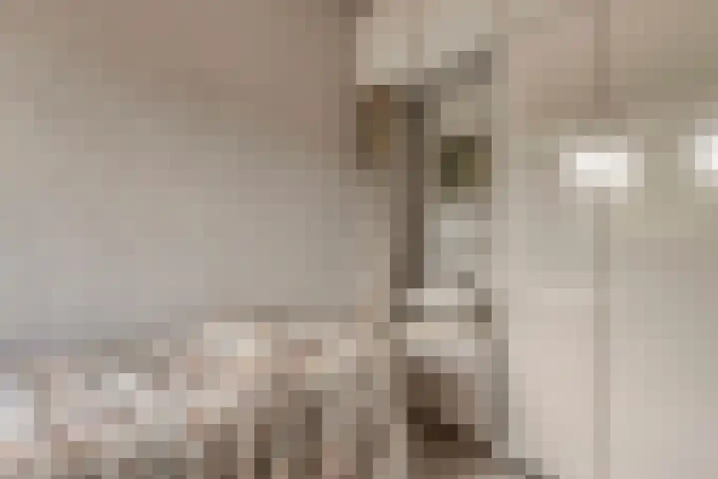 Vogelenzang 4 Malden thumbnail 27