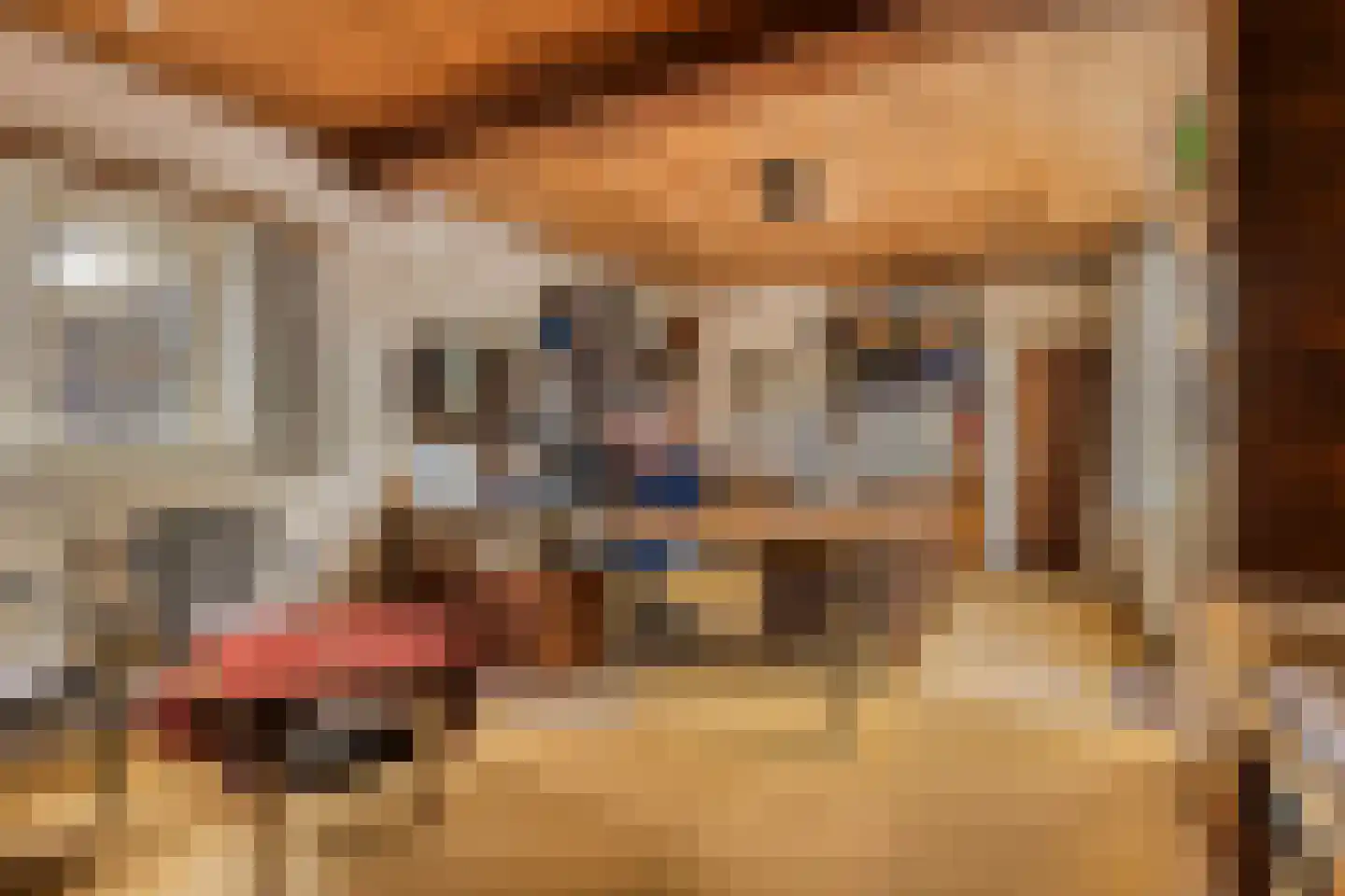 Vogelenzang 4 Malden thumbnail 30