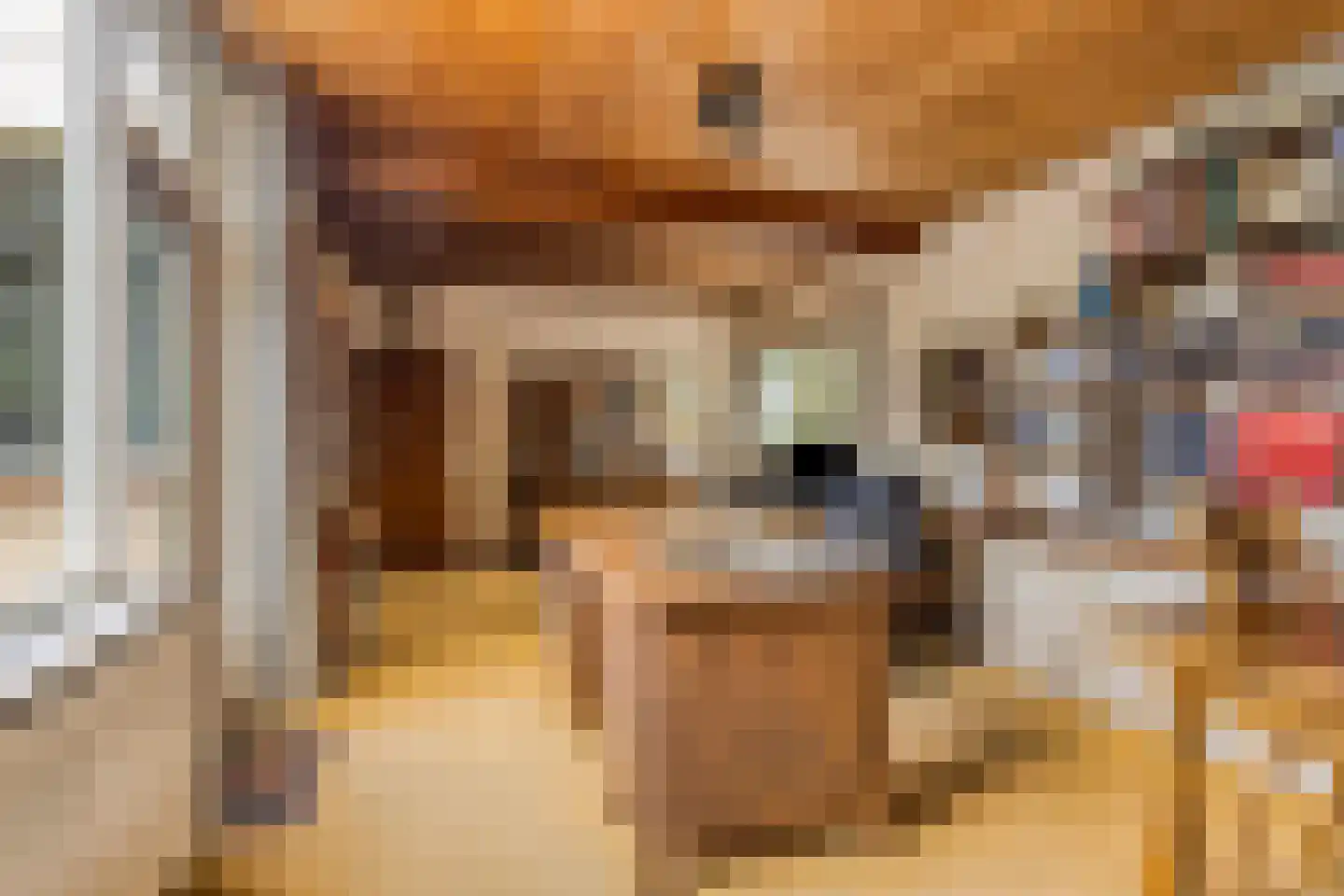 Vogelenzang 4 Malden thumbnail 31