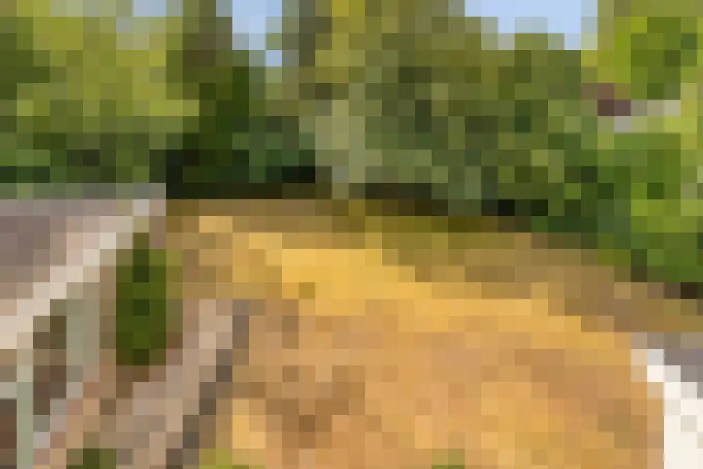 Vogelenzang 4 Malden thumbnail 38