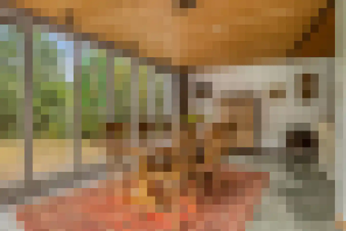 Vogelenzang 4 Malden thumbnail 4