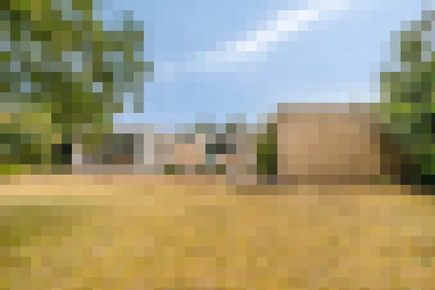 Vogelenzang 4 Malden thumbnail 41