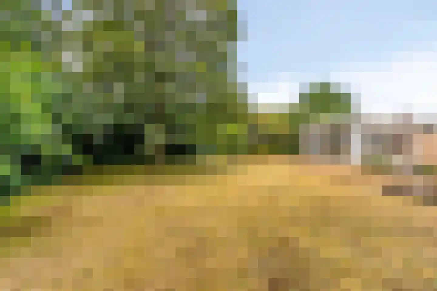Vogelenzang 4 Malden thumbnail 42
