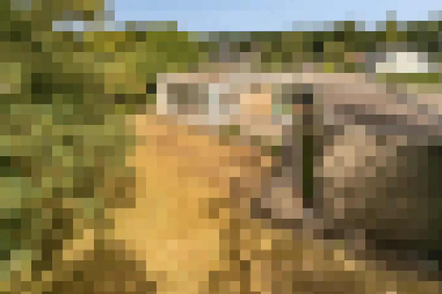 Vogelenzang 4 Malden thumbnail 43