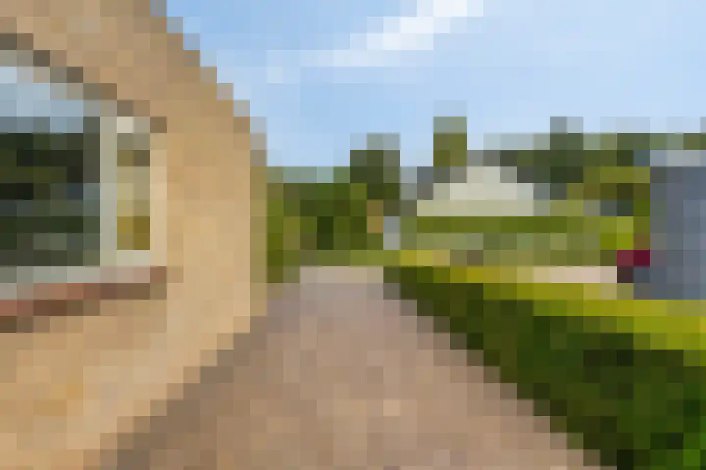 Vogelenzang 4 Malden thumbnail 45