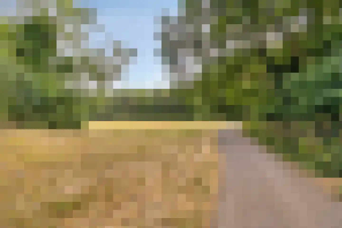 Vogelenzang 4 Malden thumbnail 49