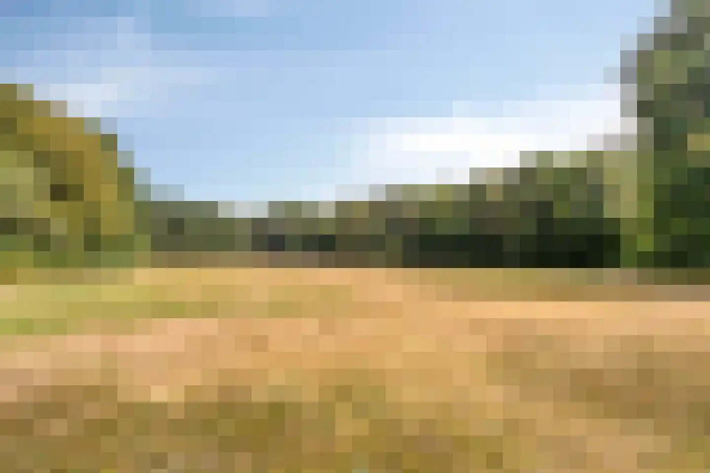 Vogelenzang 4 Malden thumbnail 50