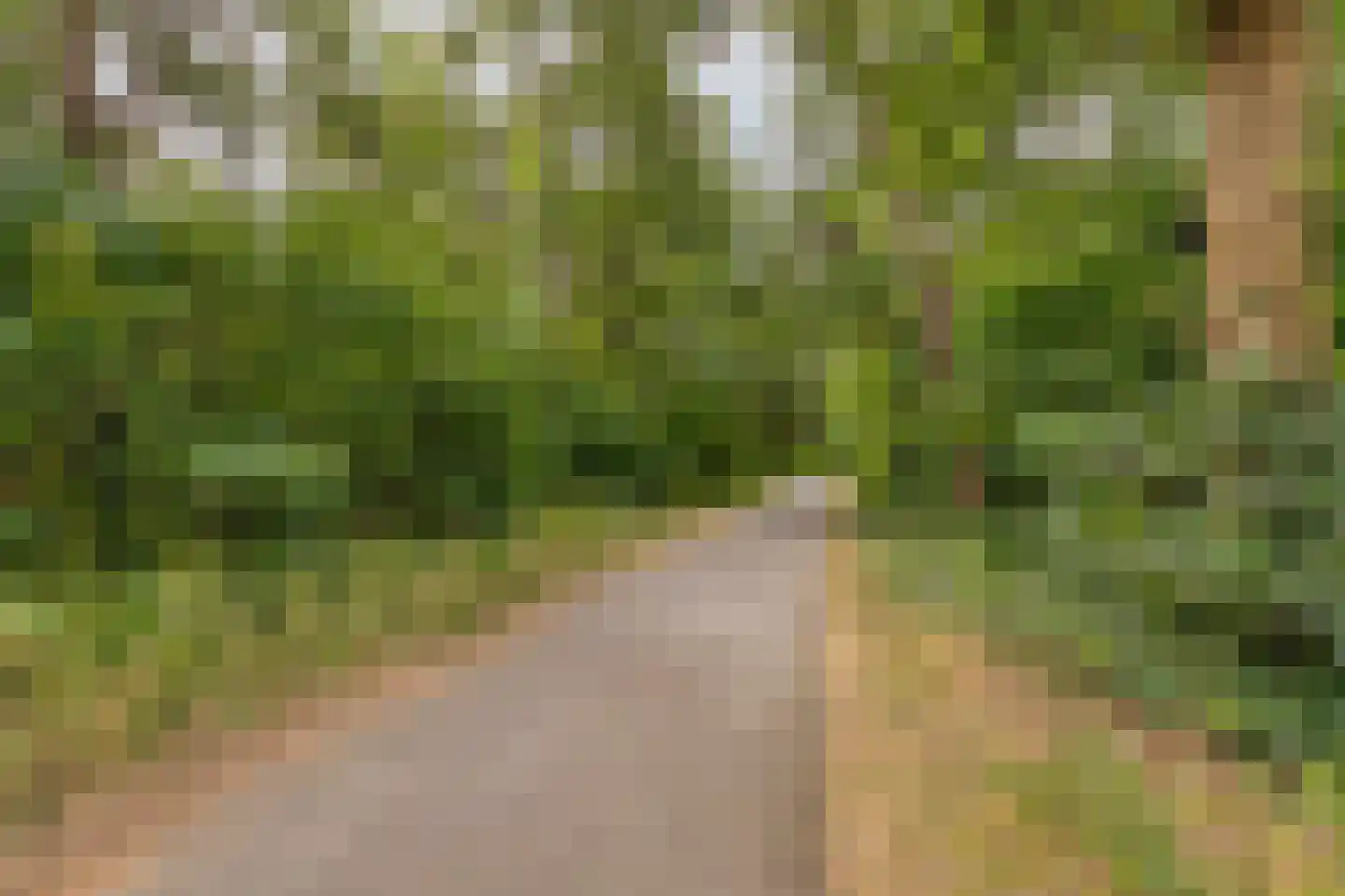 Vogelenzang 4 Malden thumbnail 51