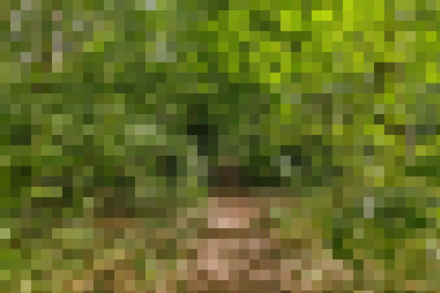 Vogelenzang 4 Malden thumbnail 52