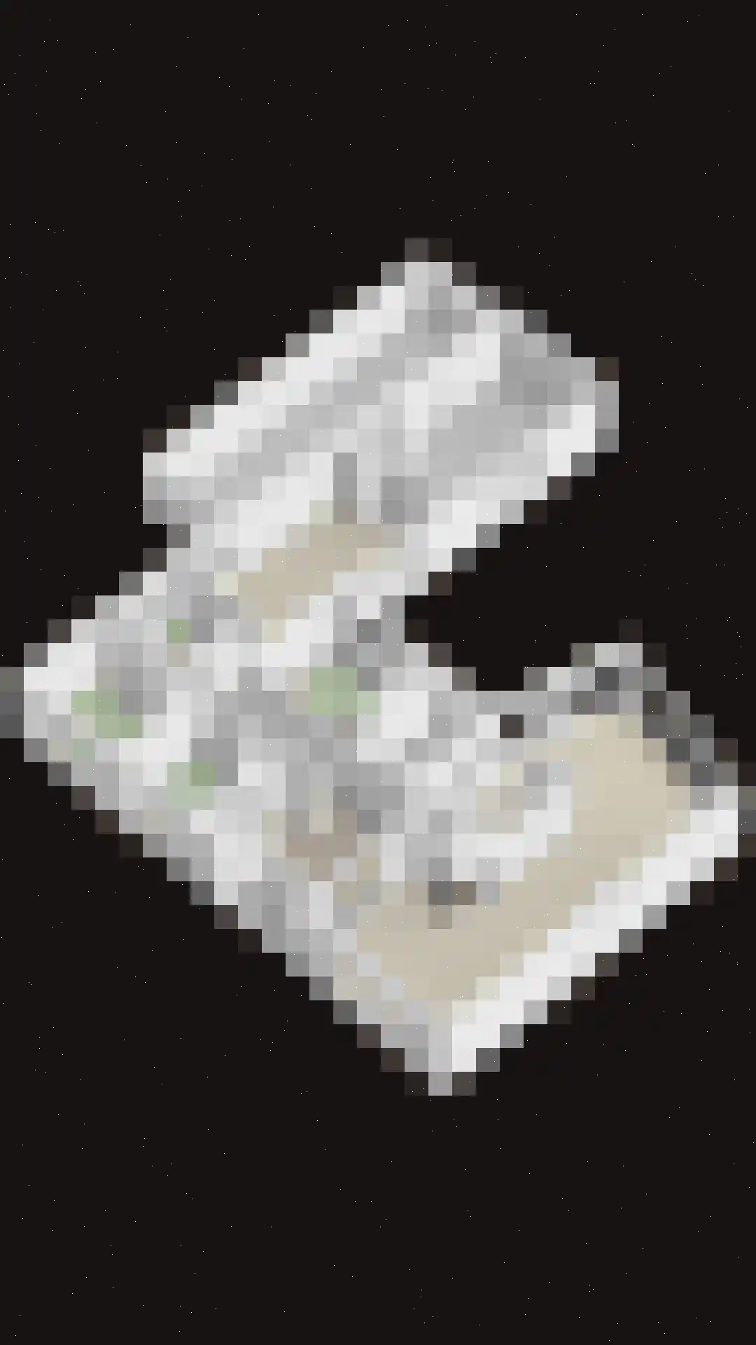 Vogelenzang 4 Malden thumbnail 55