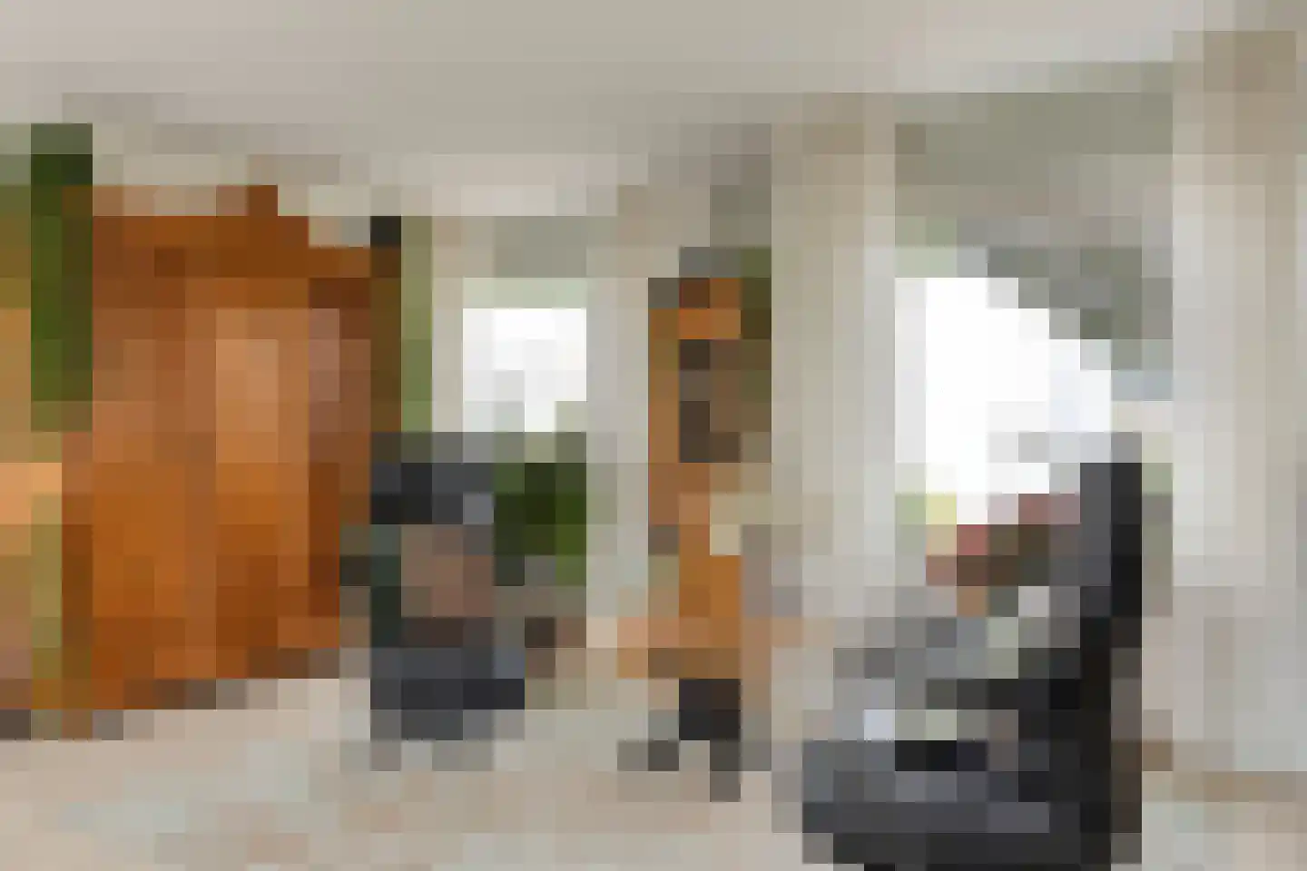 Vogelenzang 4 Someren thumbnail 11