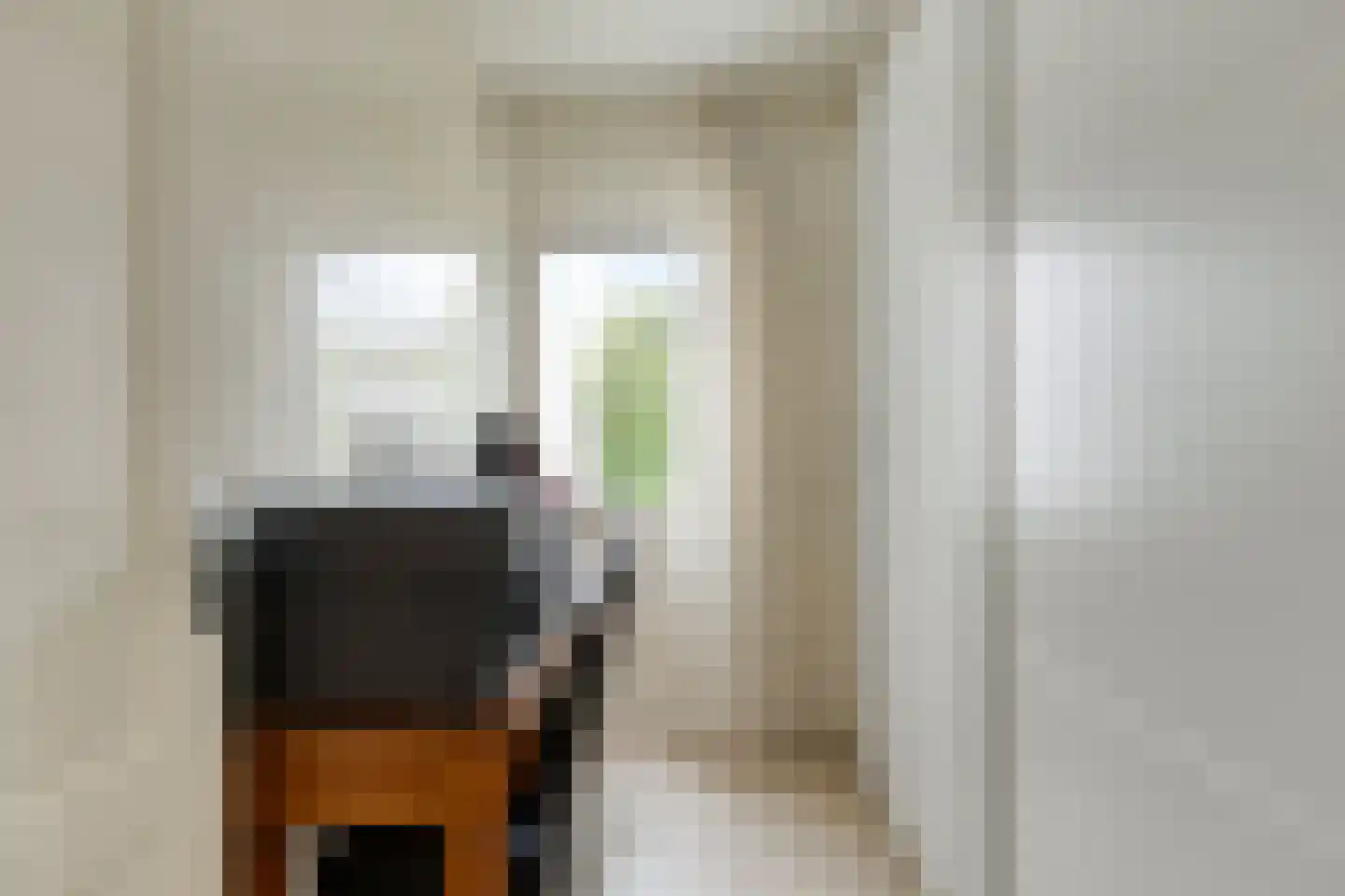 Vogelenzang 4 Someren thumbnail 15